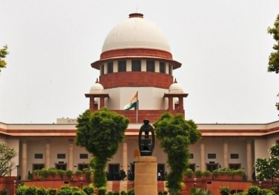 Supreme Court orders removal of all stray dogs from public p..