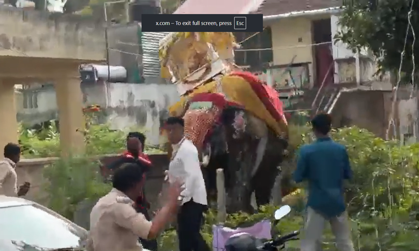 ಶಿವಮೊಗ್ಗ ದಸರಾ ಮೆರವಣಿಗೆಯಲ್ಲಿ ಆನೆ ಅಸಮಾಧಾನಗೊಂಡು ಅಲೆದಾಡಿದ ಪರಿಣಾಮ ಗೊಂದಲದ ವಾ�